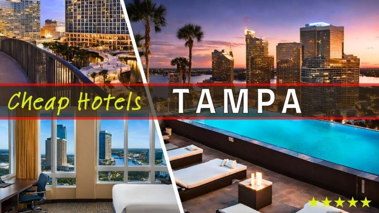 Top 10 Best Budget-Friendly Hotels in TAMPA Florida | Affordable Options for 2024